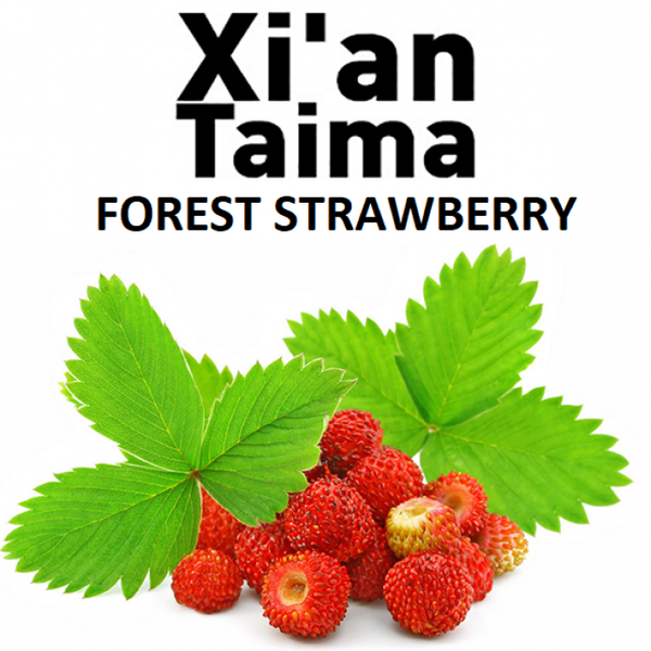 Ароматизатор Xi`an Forest Strawberry (Суниця)