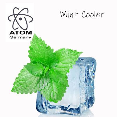 Ароматизатор ATOM Mint Cooler (Охладитель)