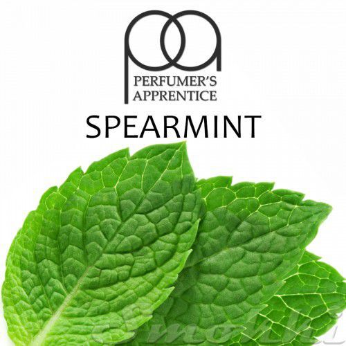 Ароматизатор TPA Spearmint (Садовая мята)
